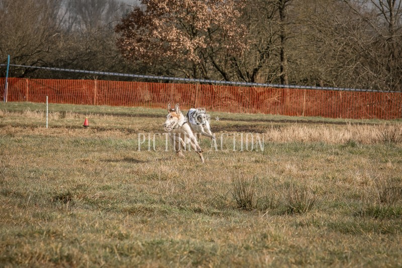 dsc_1411