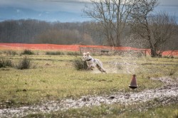dsc_1746