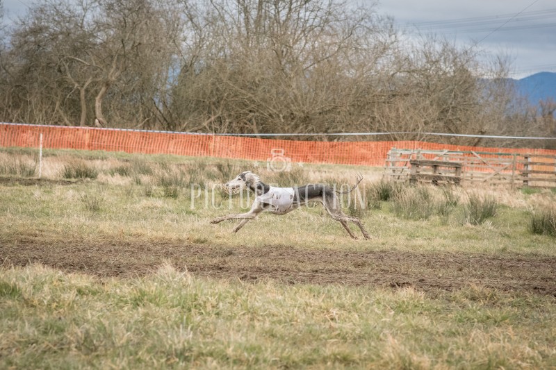dsc_1920