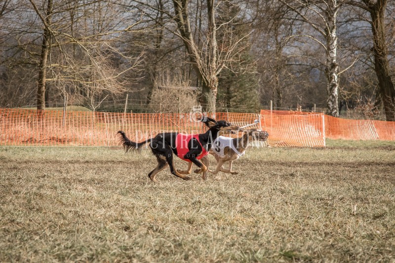 dsc_1980