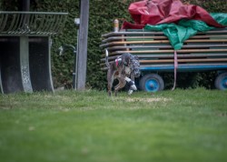 dsc_6368