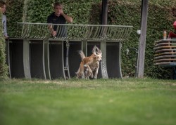 dsc_6385