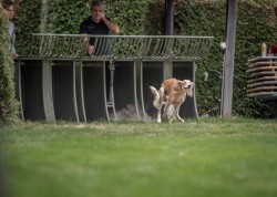 dsc_6386