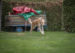 dsc_6389