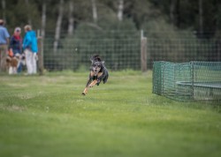 dsc_6423