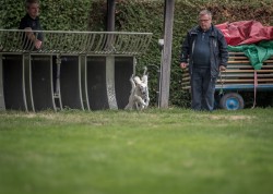 dsc_6434