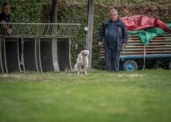 dsc_6435