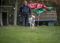 dsc_6438