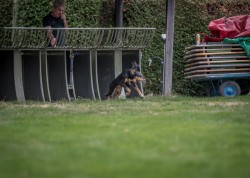 dsc_6457