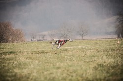 dsc01992