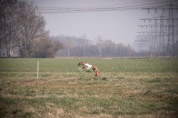 dsc03305