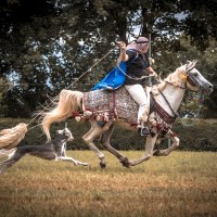 Min Ma-Sha Salukis & Cross Country Ranch Vorführung Freiburg