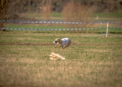 dsc_2391