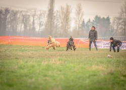 dsc_3191