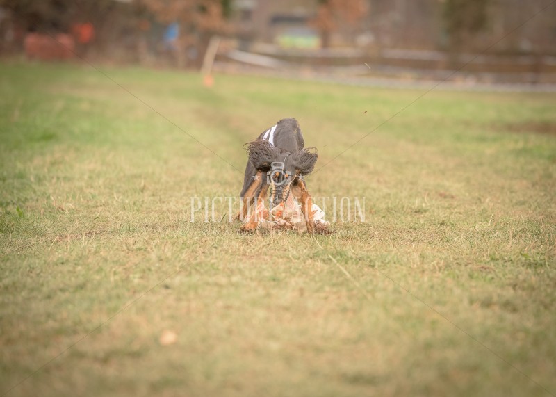 dsc_3061