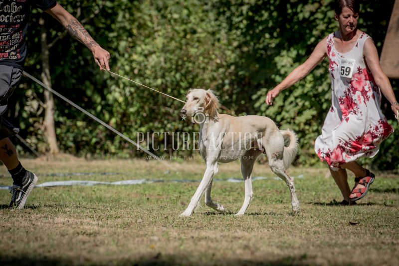 dsc_5568-2