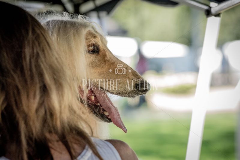 dsc_5591