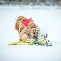 Schneecoursing Stubaital 2017 - Samstag