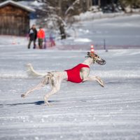 Schneecoursing Stubaital 2017 - Sonntag