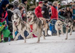 dsc_7644-2
