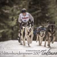 int. Hundeschlittenrennen 2017 Todtmoos