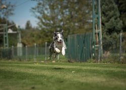 dsc_5061-2