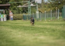 dsc_5202