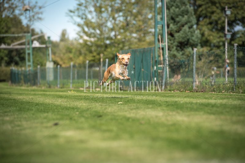 dsc_5067-2