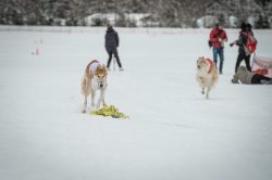 _dsc1814-2