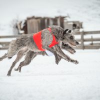 Schneecoursing Stubaital 2018 Freitag & Samstag