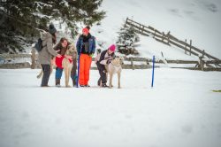 _dsc2034-2
