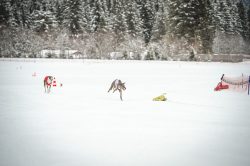 _dsc2169-2