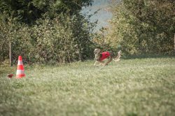 dsc_8951_fb
