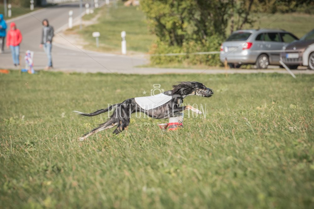 dsc_9119_fb
