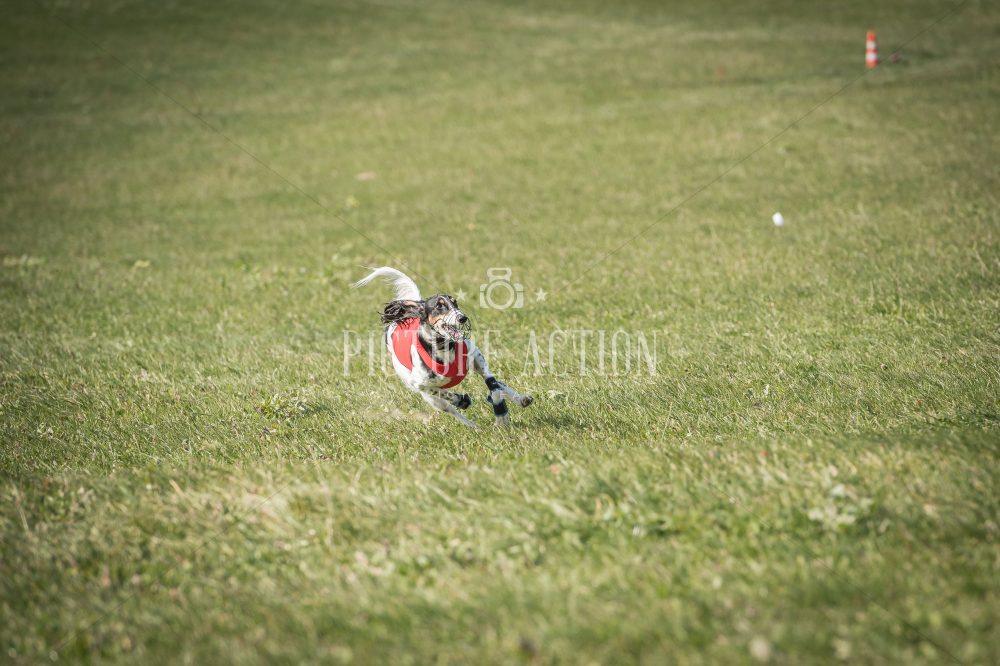 dsc_9201_fb