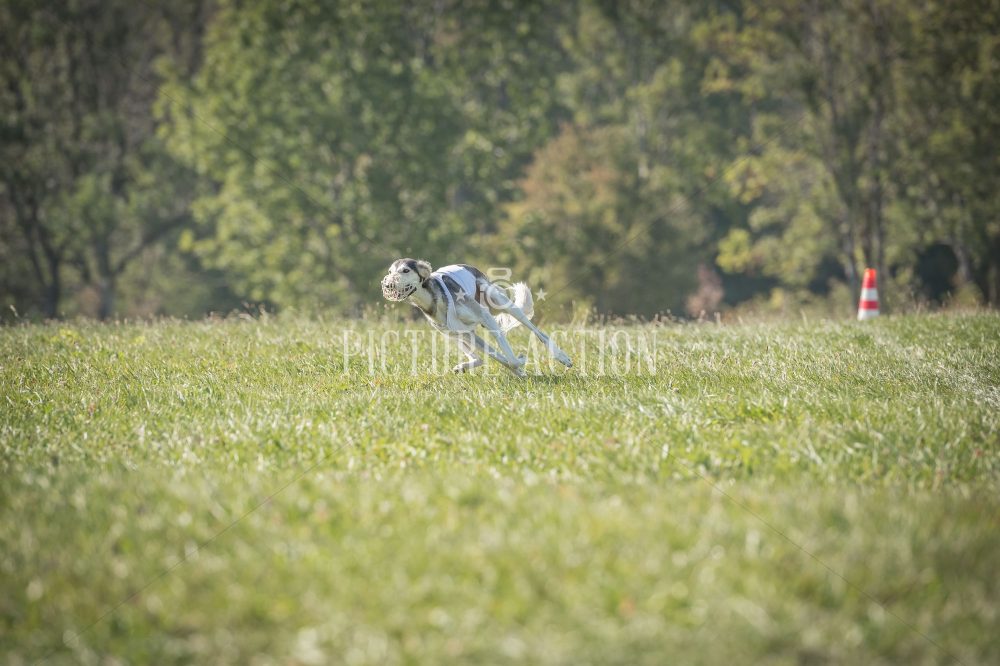 dsc_9229_fb