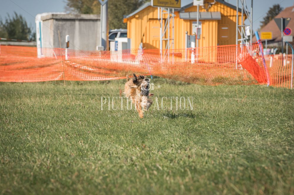 dsc_9391_fb