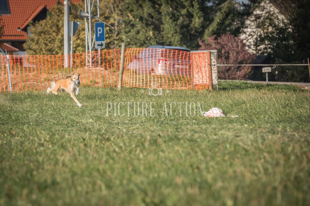 dsc_9506_fb