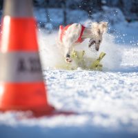 Schneecoursing Stubaital 2019 Samstag