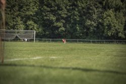 dsc_1352-2