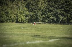 dsc_1353