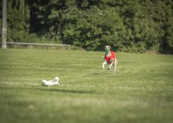 dsc_1356-2