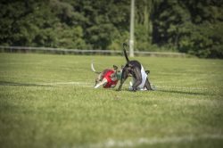 dsc_1361-2