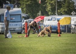 dsc_1371-2