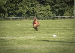 dsc_1380