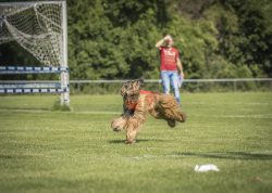 dsc_1381