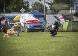 dsc_1401