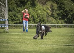 dsc_1410