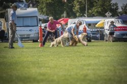 dsc_1420