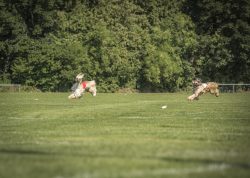 dsc_1429